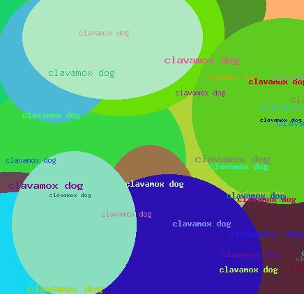 CLAVAMOX DOG